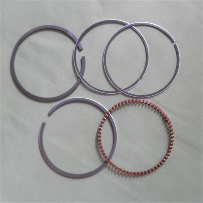 Motorcycle Engine Part Engine Discover Piston Ring for Hero Honda