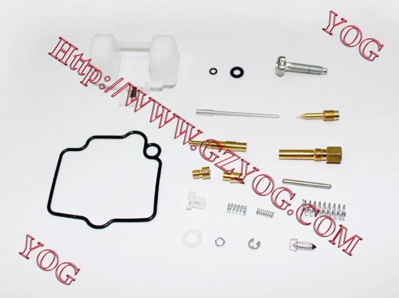 Motorcycle Parts Carburetor Repair Kit for Ax100 Dy100 Cg200