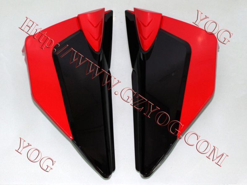 Motorcycle Spare Parts Oil Tank Fuel Tank Side Cover for Skr 200