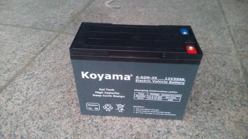 Lead Acid Deep Cycle Batteries for E-Bike/Rickshaw/Scooter 6-Dzm-40 Battery 12V 40ah