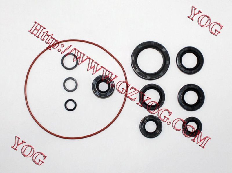 Motorcycle Engine Oil Seal Kit Bm150 Ax100 Cg125