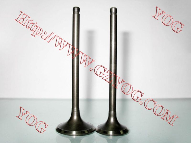 Motorcycle Spare Parts Aluminum Alloy Valve Set Ybr125 Fz16
