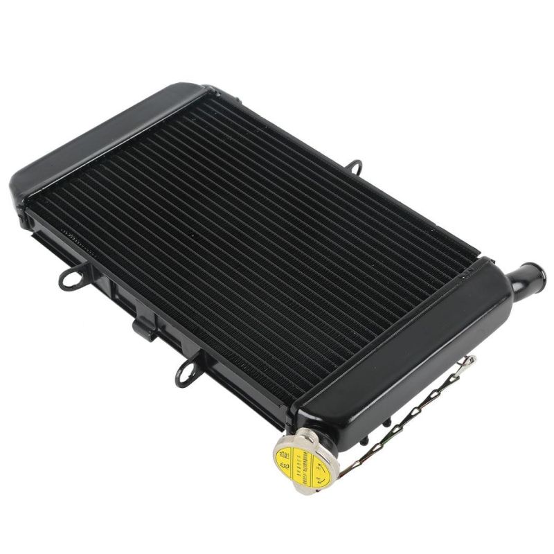 Xf-400 Motorcycle Radiator Cooler Cooling for YAMAHA Xj6 2009-2015