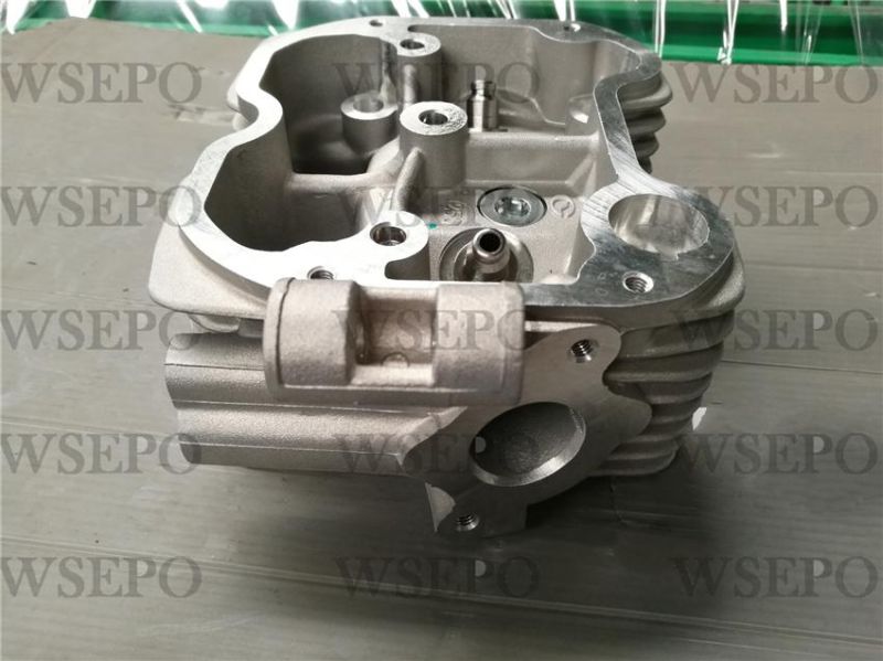 Cg300 Dual Cool Cylinder Head Fits for Zongshen Loncin Lifan Xingyuan Yinxiang 300cc Type Motorcycle