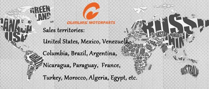 Parts Muffler Motorcycle Spare Parts for Sanya110-22 Morocco