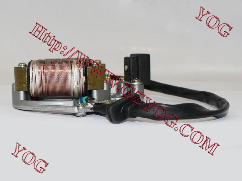 Yog Motorcycle Parts Motorcycle Magneto Coil for Honda Eco110 Colombia Market