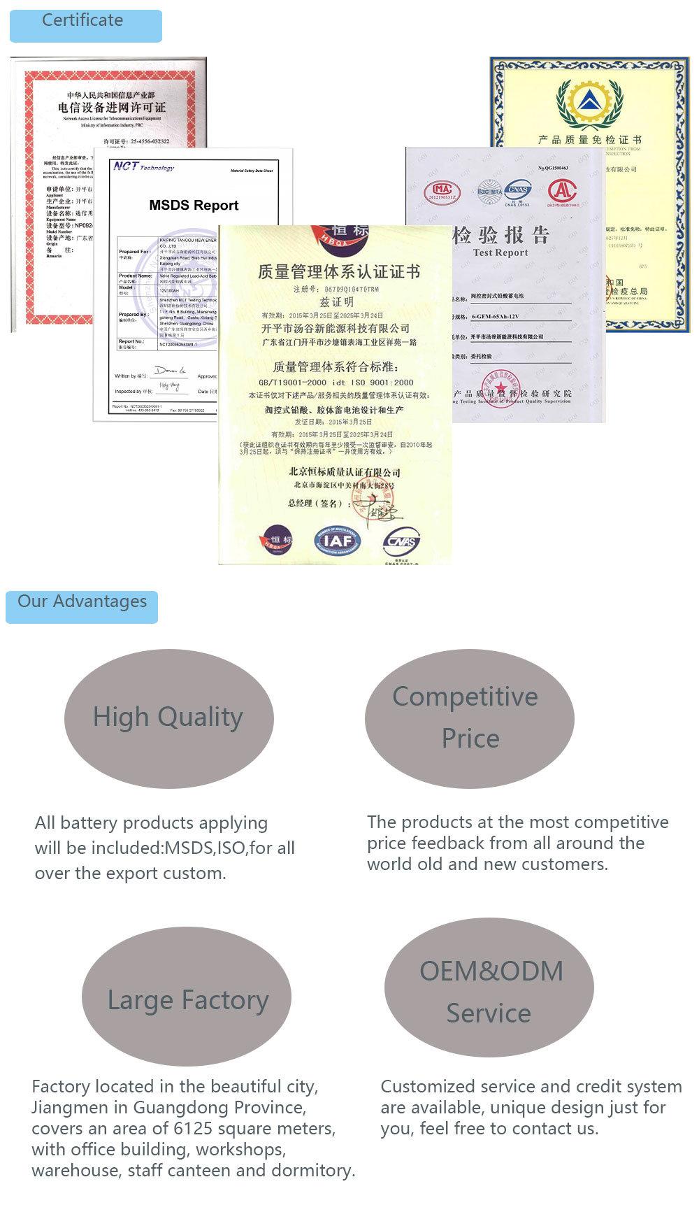 4V8ah AGM Scooter Battery Rechargeable Lead Acid Motorcycle Battery with IAF MSDS Certification