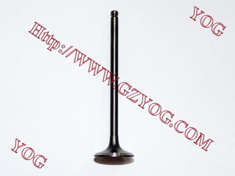 Yog Motorcycle Spare Parts Valve for Bajaj Bm100esks Bm150 Boxer Cg125