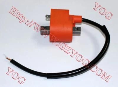 Motorcycle Parts Ignition Coil Ignition Comp. for Ax100 Lead90 Zj125