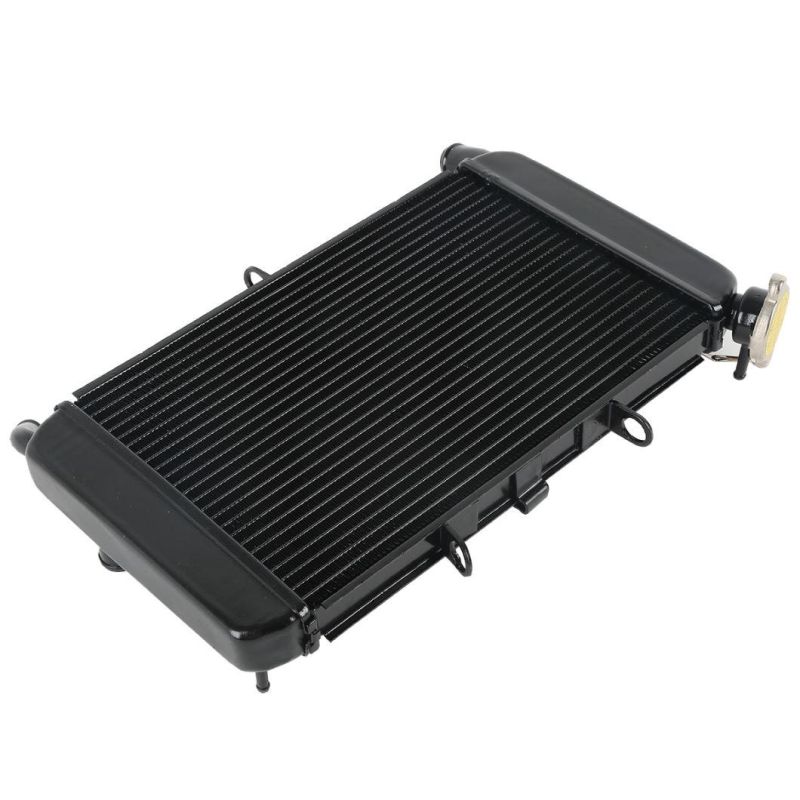 Xf-400 Motorcycle Radiator Cooler Cooling for YAMAHA Xj6 2009-2015