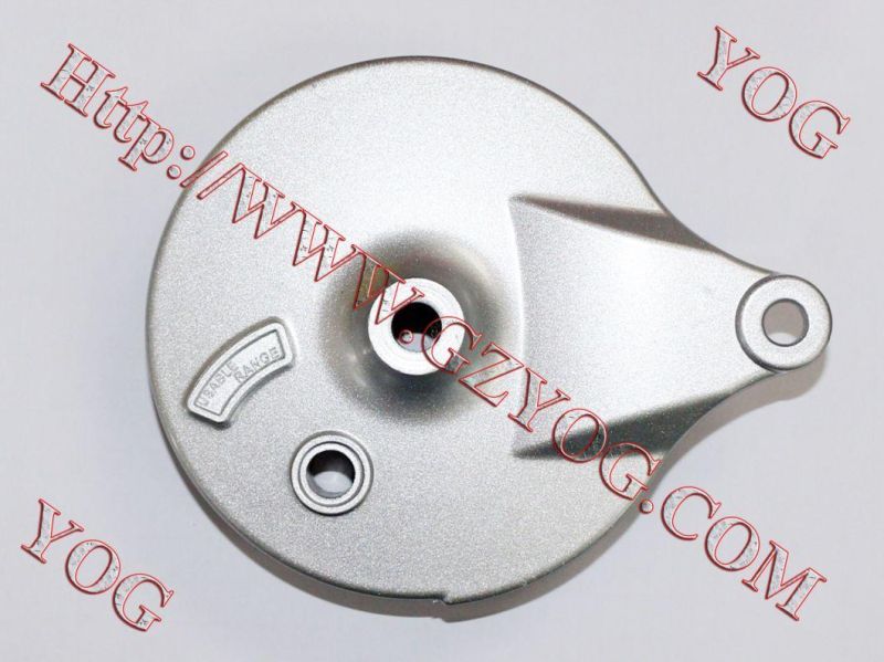 Motorcycle Spare Parts Motorcycle Rear Brake Panel At100 Bajajct100 Cgl125