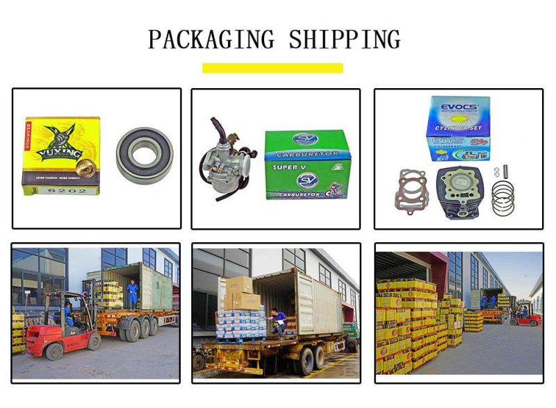 Motorcycle Spare Parts 6204 6206 6300 6301 6304 Bearing