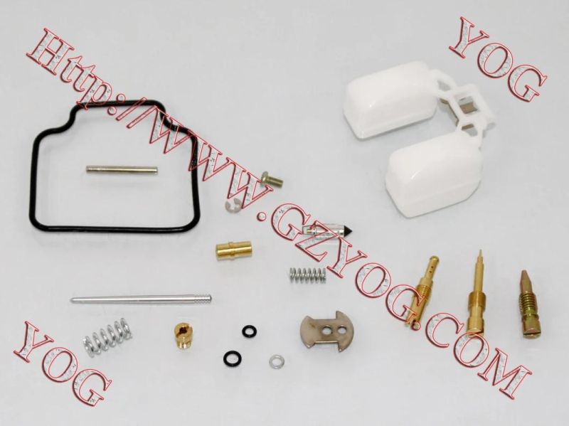 Motorcycle Parts Carburetor Repair Kit for Ax100 Dy100 Cg200