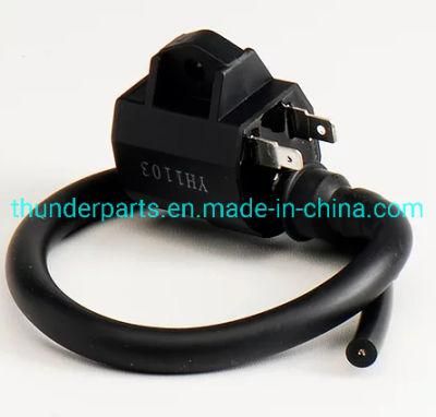 Motorcycle Spare Parts Ignition Coil Bobinas for An125