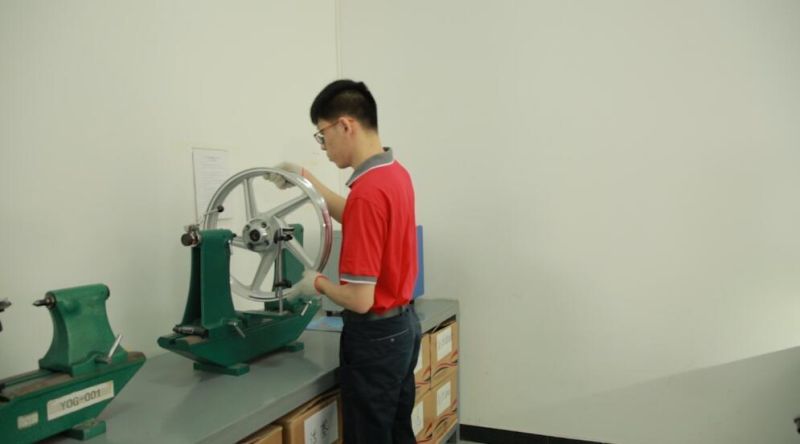 Power Generator Electric Engine Motor for Bws-100