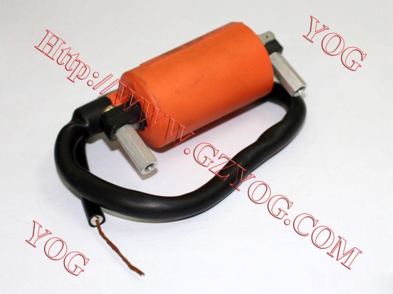 Motorcycle Ignition Coil Bobina Alta Ax100 Jh70 CD70