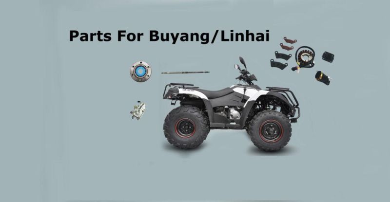 Air Filter for Linhai 260cc 300cc Buyang Feishen Fa-D300 G300