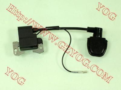 Motorcycle Spare Parts Motorcycle Ignition Coil Gy6-125 ATV-49c Ax100