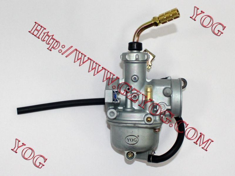 Motorcycle Spare Parts Motorcycle Carburetor for FT110