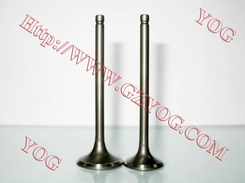 Yog Motorcycle Spare Parts Engine Parts Valve for Bajajbm100esks Titan150 C125