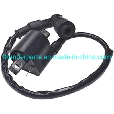 Motorcycle Ignition Coil/Bobina Alta/Encendido Cg125, Discover, Tvs160, King, Hlx125, Apache RTR180