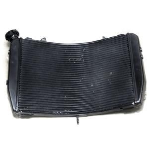 Frdya007 Motorcycle Parts Aluminum Radiator for YAMAHA Yzf R1 07-08