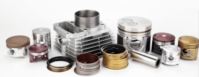 Various Models Motorcycle Piston Kits