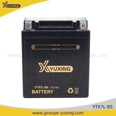 Motorcycle Parts Motorcycle Accessories Motorcycle Battery (YTX7L-BS)