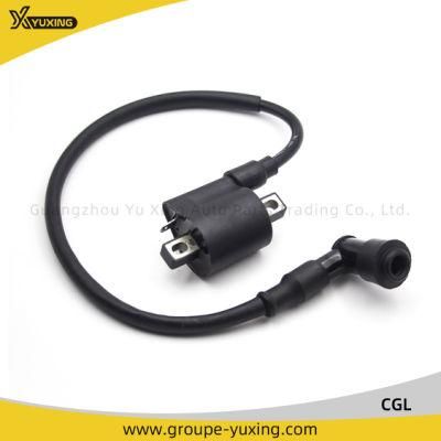 Motorcycle Parts Motorcycle Ignition Coil for Cgl