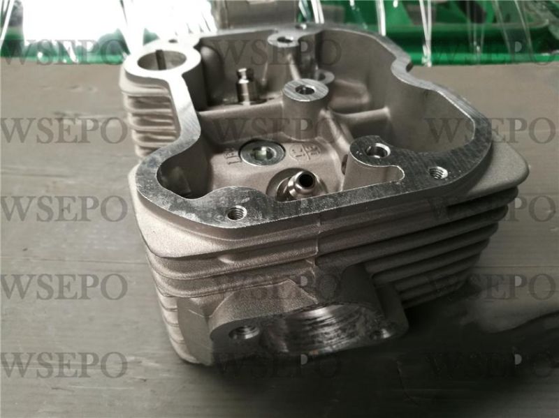 Cg300 Dual Cool Cylinder Head Fits for Zongshen Loncin Lifan Xingyuan Yinxiang 300cc Type Motorcycle