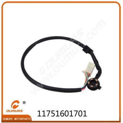 Motorcycle Accessory Gear Display for C110-Oumurs