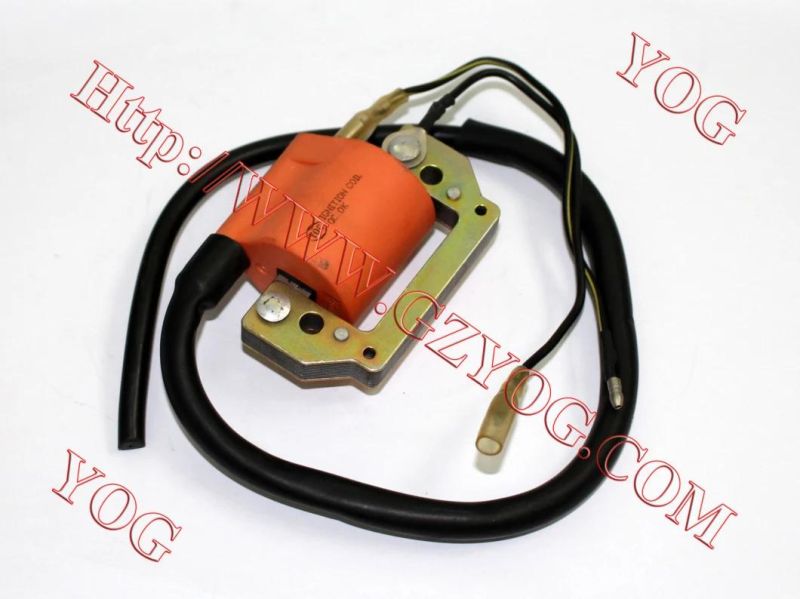 Yog Motorcycle Spare Parts Ignition Coil for Ax100, Tvs Star Hlx125, , Xls125