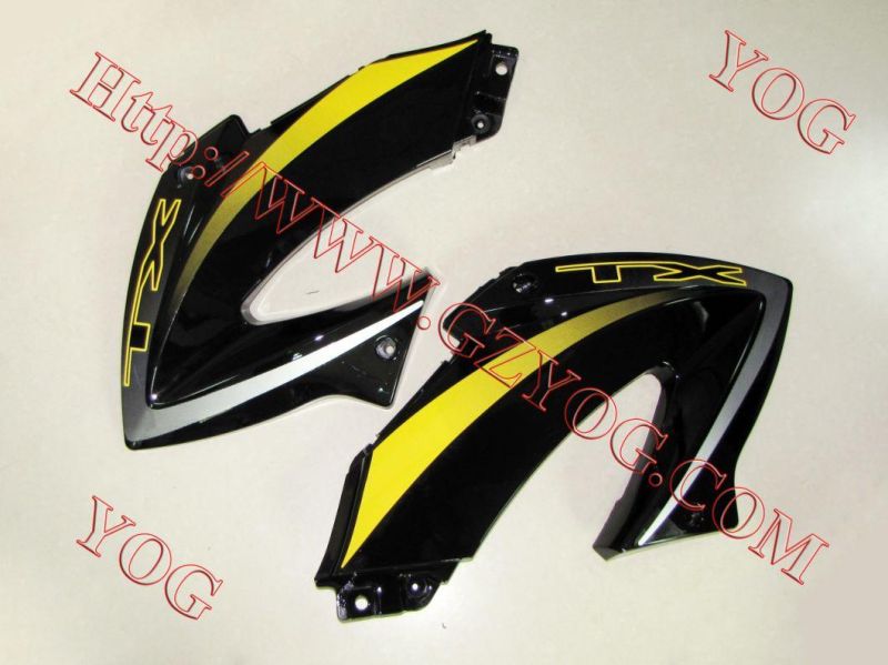 Motorcycle Spare Parts Oil Tank Fuel Tank Side Cover for Tx 200gy/Skr200