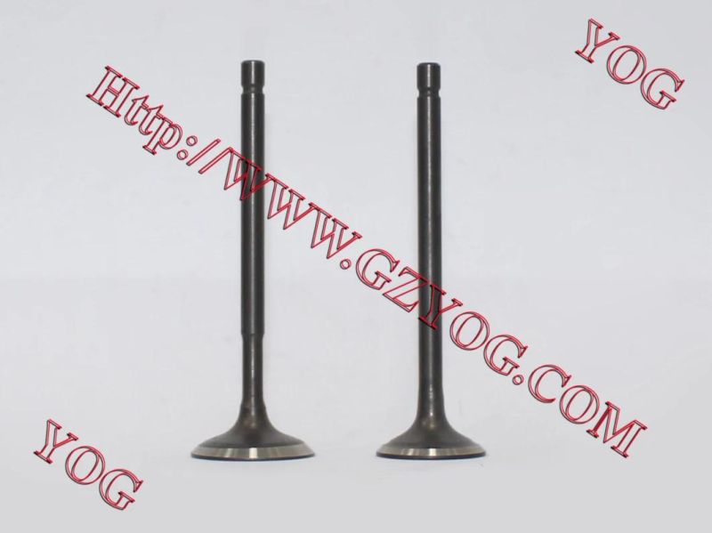 Motorcycle Engine Valvulas Valve Kit Hlx150
