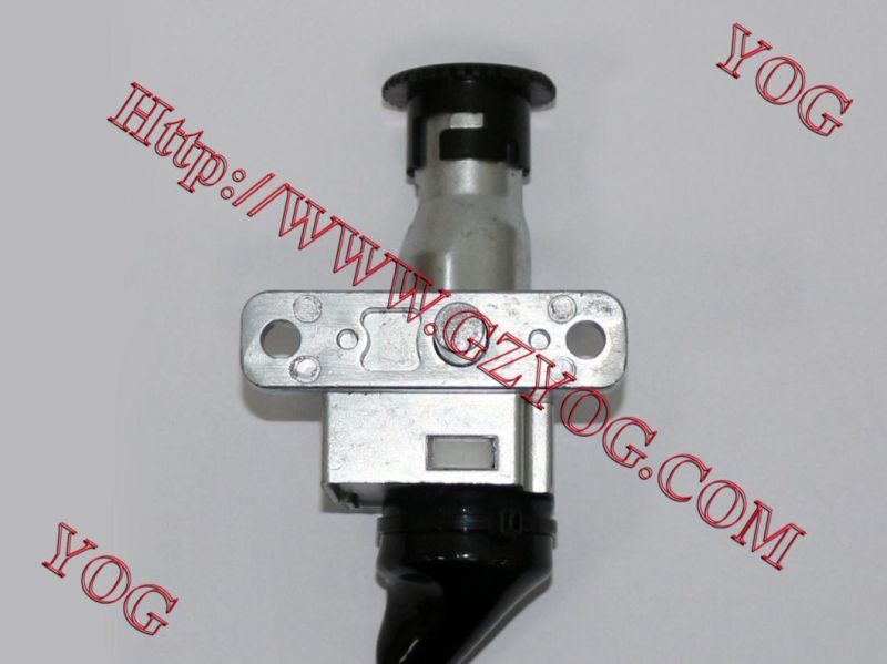 Yog Motorcycle Spare Parts Ignition Switch for Akt125, Milestone, Gya200