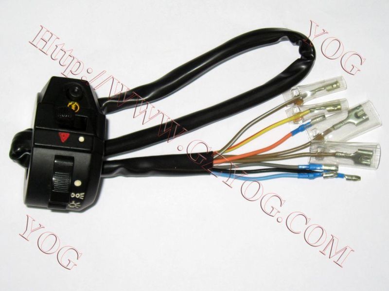 Motorcycle Spare Parts Motorcycle Handle Switch Ax100 CT100 Boxer Dm200