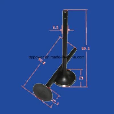 Motorcycle Spare Parts Motorcycle Valve Inlet/Exhaust Set for Cg125