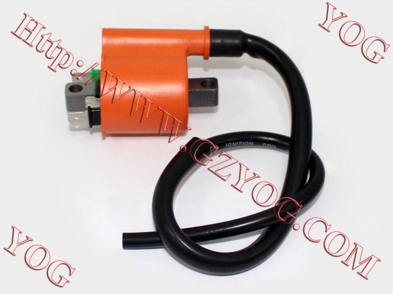 Motorcycle Parts Ignition Coil Ignition Comp. for Tvs Start Hlx125/Tvs Start Lf125