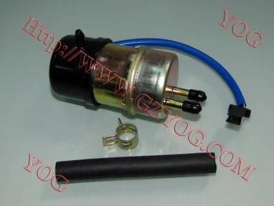 Motorcycle Parts Motorcycle Fuel Pump for Honda YAMAHA Suzuki Lifan Qianjian 125cc 150cc 200cc 250cc