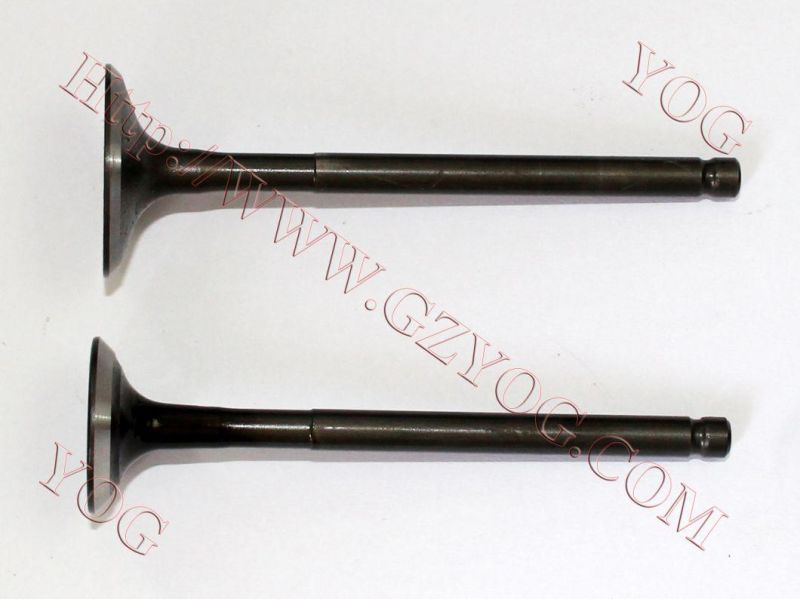 Yog Motorcycle Spare Parts Valve for Bajaj Bm100esks Bm150 Boxer Cg125