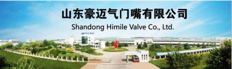 Himile Electric Bicycle Tyre Valve Tube Valves Cr202 Passenger Car Tyre Car Tires Inner Tube.