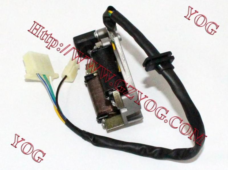 Yog Motorcycle Parts Motorcycle Magneto Coil for Honda Eco110 Colombia Market