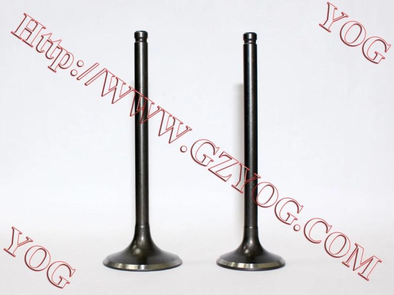 Motorcycle Engine Valvulas Valve Kit Hlx150
