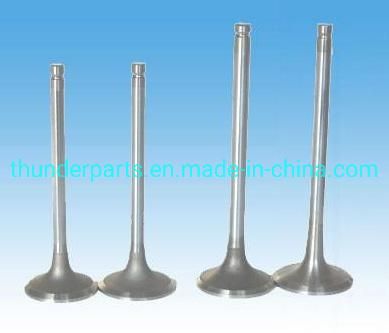 Motorcycle Spare Parts Motorcycle Engine Valves in &amp; Ex/Valvulas for Pulsar200, 200ns, Xcd, 3W4s, Platino