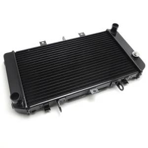 Frdhd019 Motorcycle Parts Aluminum Radiator for Honda CB600 Hornet600 06-07