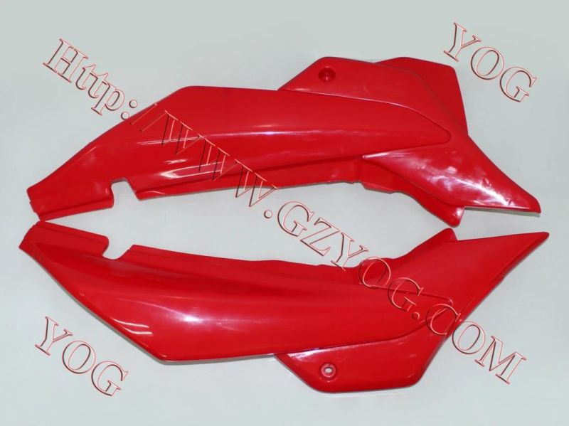 Motorcycle Parts Tapa Lateral Side Cover Ace110 X125 Bm150