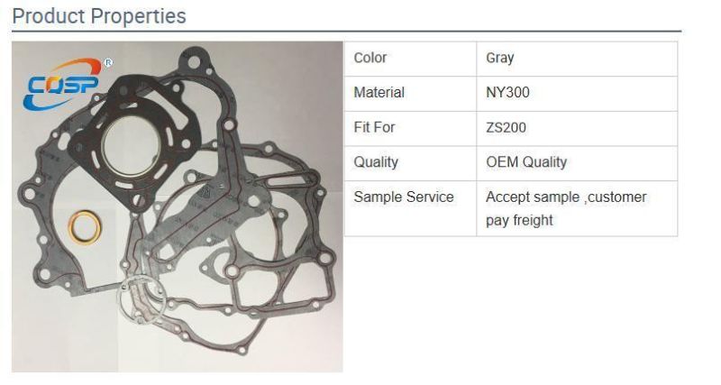 Motorcycle Engine Parts Complete Kits Gasket for Zs200