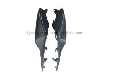 Carbon Fiber Motorcycle Part Tail Side Panels for Kawasaki