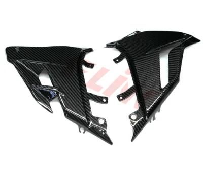 100% Full Carbon Side Panels for Ducati V4 Streetfigher 2020