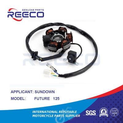 Reeco OE Quality Motorcycle Stator Coil for Sundown Future 125